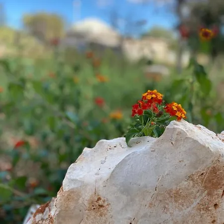 Pugliaholidayplus - La Torretta