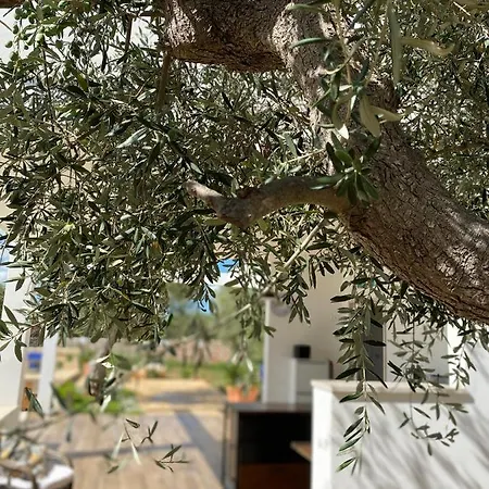 Villa Pugliaholidayplus - La Torretta Polignano a Mare