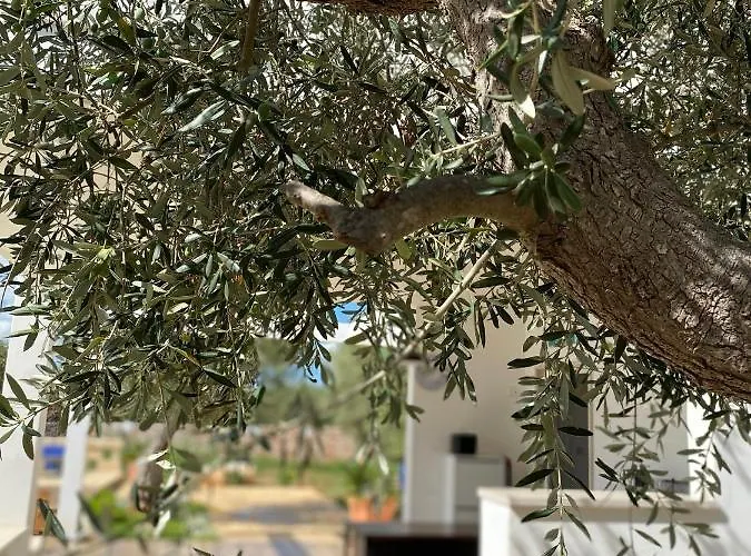 Villa Pugliaholidayplus - La Torretta Polignano a Mare
